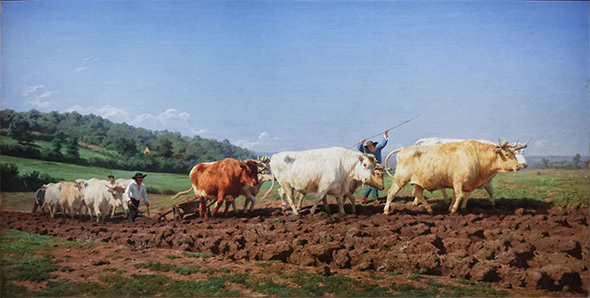 Rosa Bonheur, Labourage nivernais