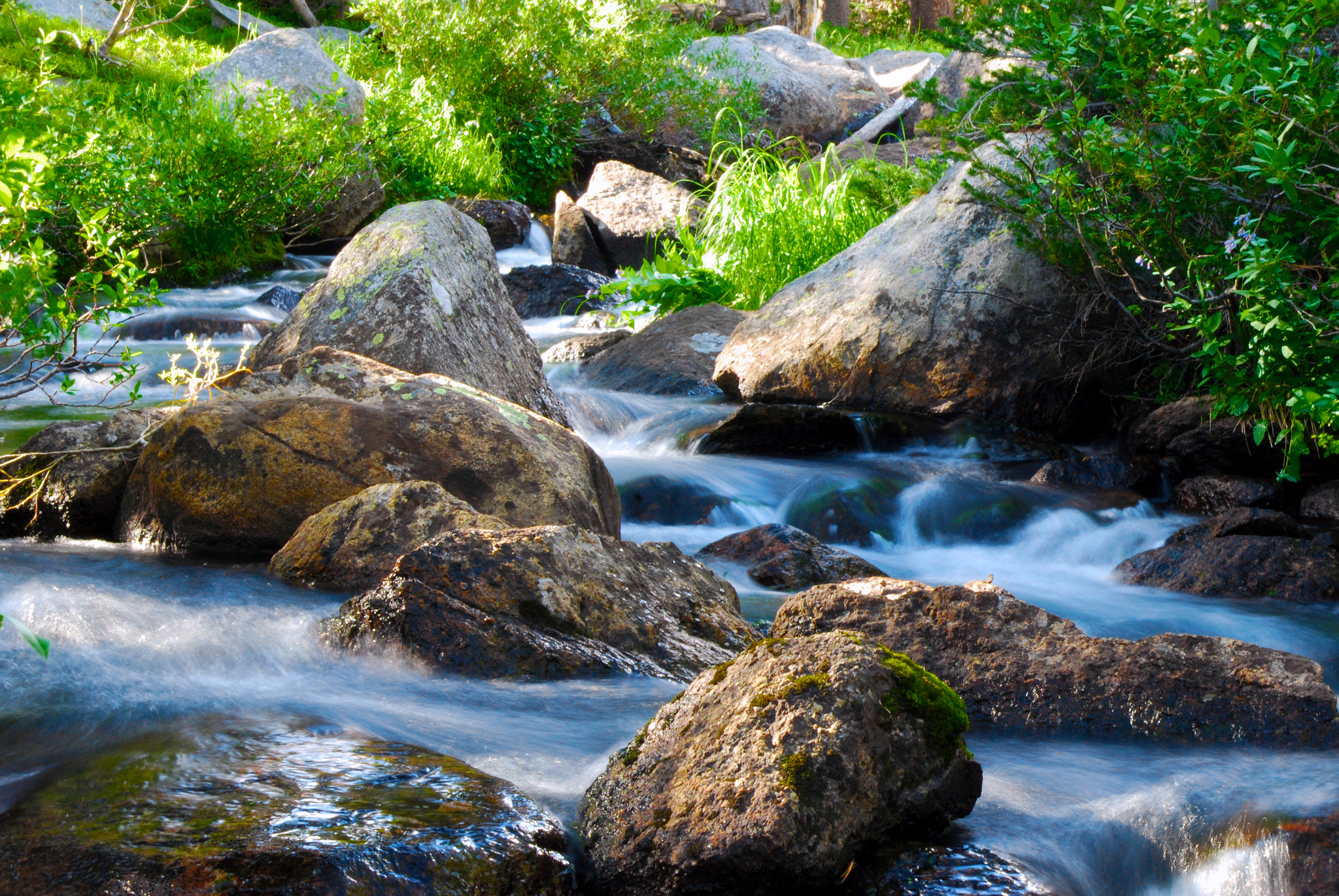 Un ruisseau bondissant